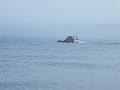 Bering Strait Crossing 125